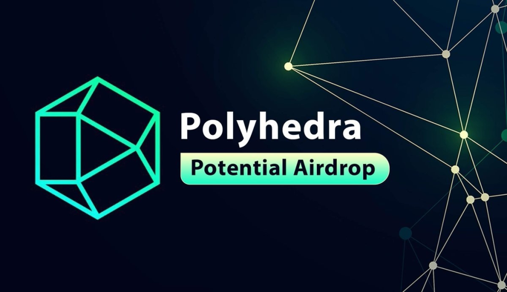 Polyhedra. Polyhedra network